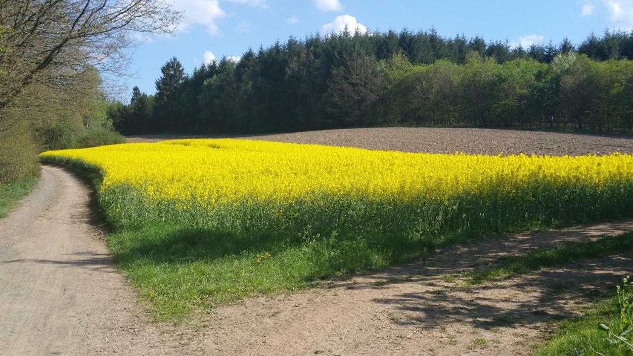 Ferienwohnung Auszeit Tholey Esterno foto